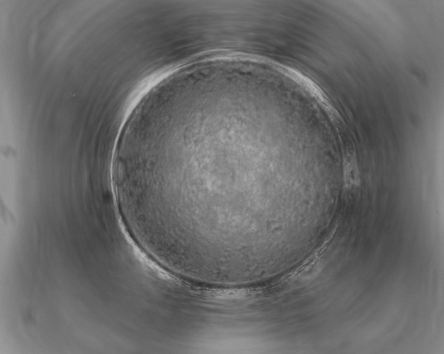 X0000091101247200708061413