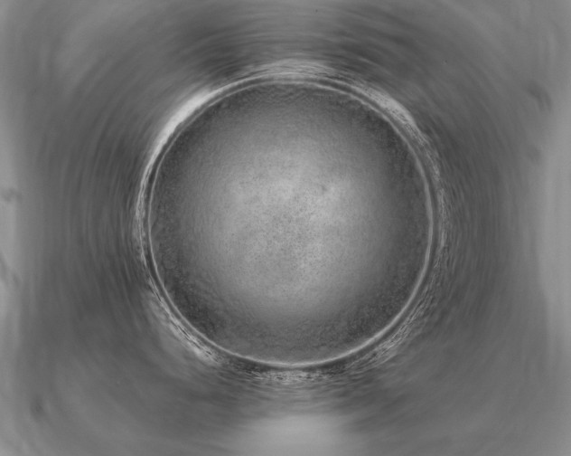 X0000091101248200708061413