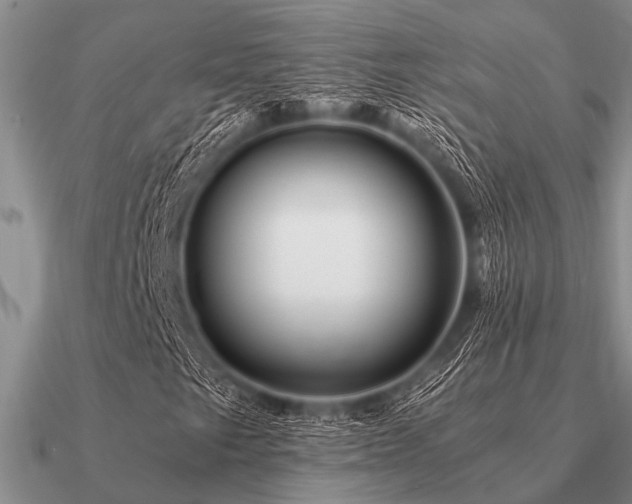 X0000091101249200708061412