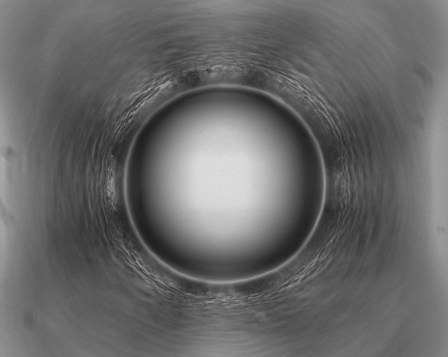 X0000091101250200708061412