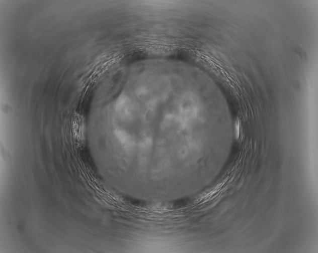 X0000091101251200708061412