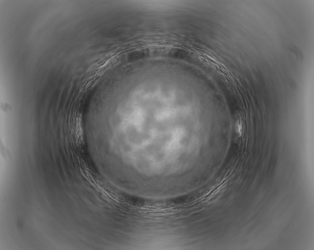 X0000091101252200708061412