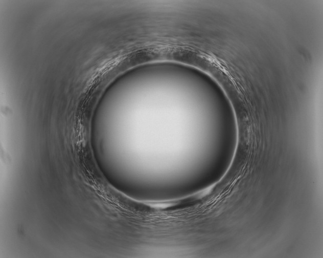 X0000091101253200708061412