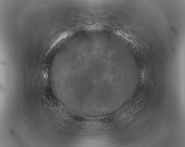 X0000091101254200708061412