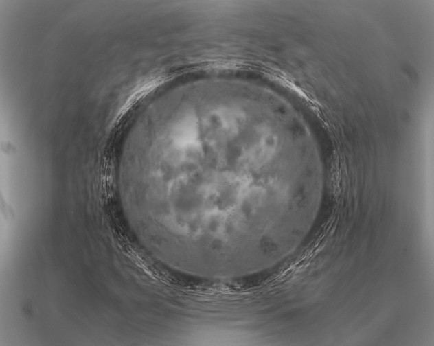 X0000091101255200708061412