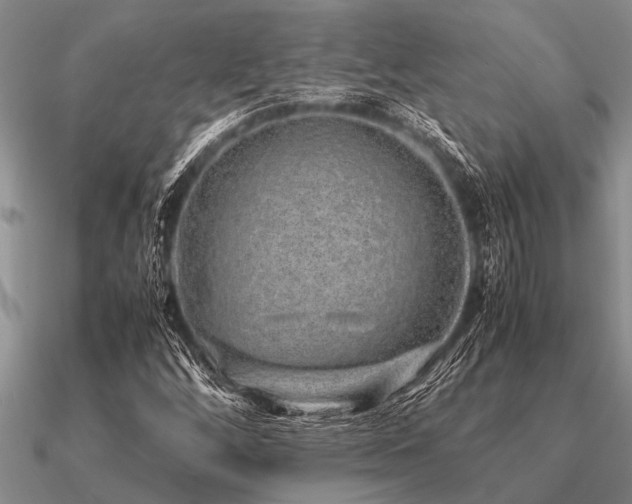 X0000091101256200708061412