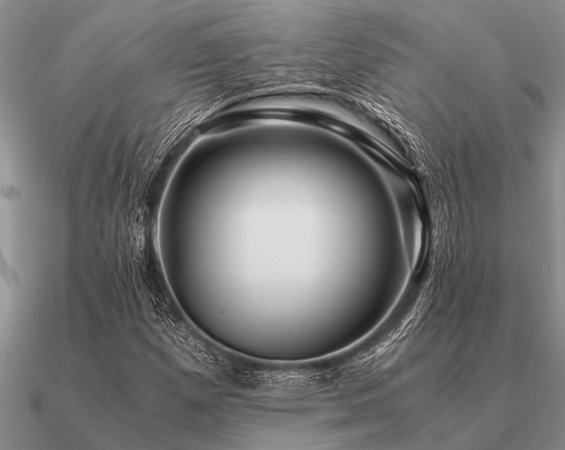 X0000091101257200708061412