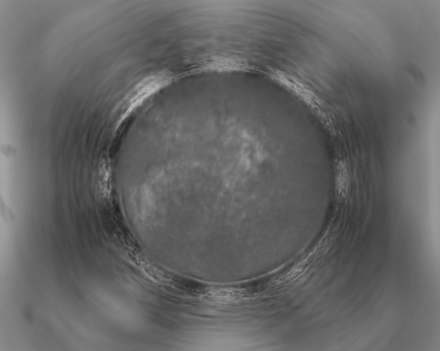 X0000091101258200708061412