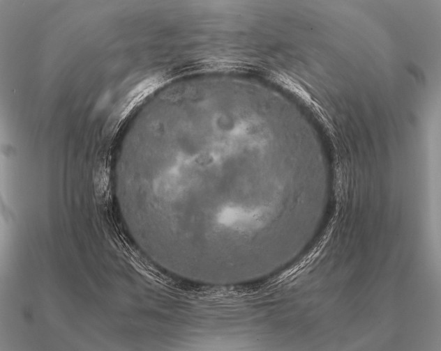 X0000091101259200708061412