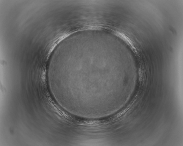 X0000091101260200708061412