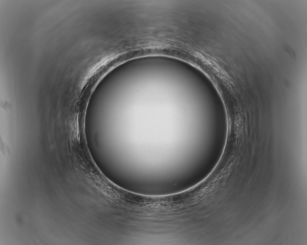 X0000091101262200708061412