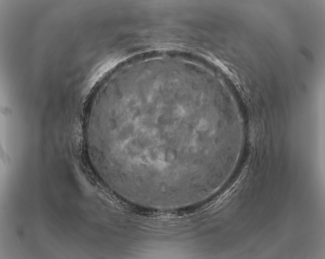 X0000091101263200708061412