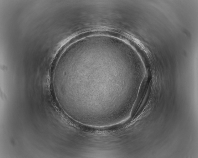 X0000091101264200708061412