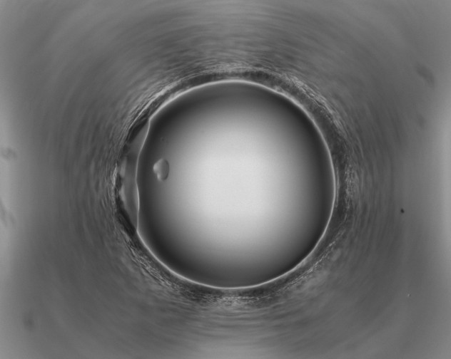 X0000091101265200708061412