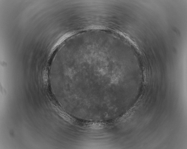 X0000091101266200708061412