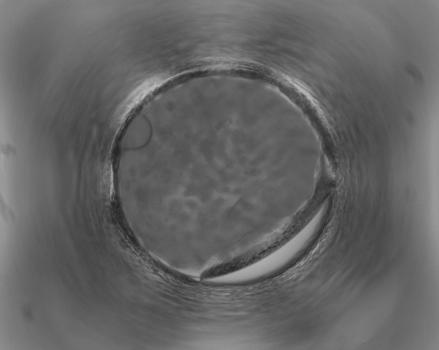 X0000091101267200708061412