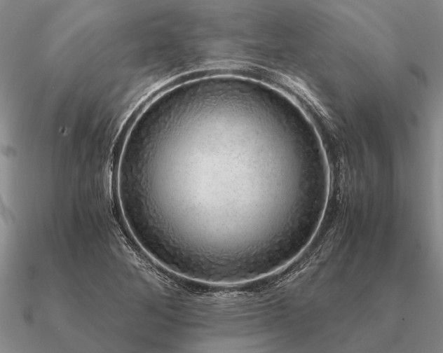 X0000091101268200708061412