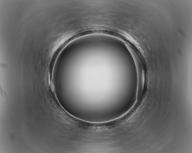 X0000091101269200708061412