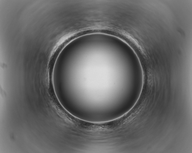 X0000091101270200708061412