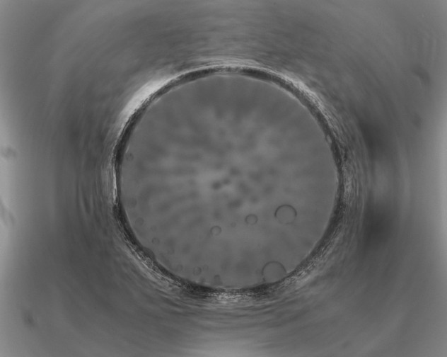 X0000091101271200708061412