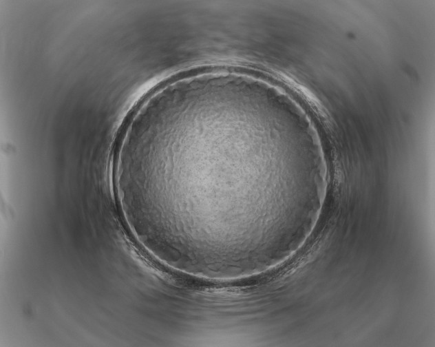 X0000091101272200708061412