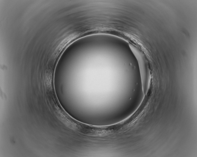 X0000091101273200708061412