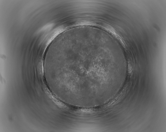 X0000091101274200708061412