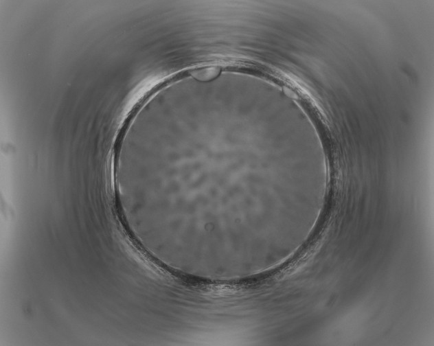 X0000091101275200708061412