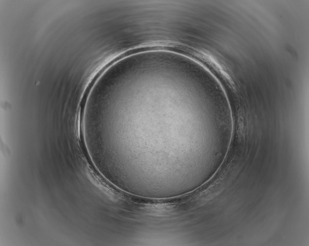 X0000091101276200708061412