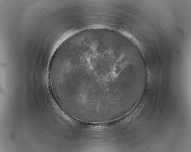 X0000091101278200708061412