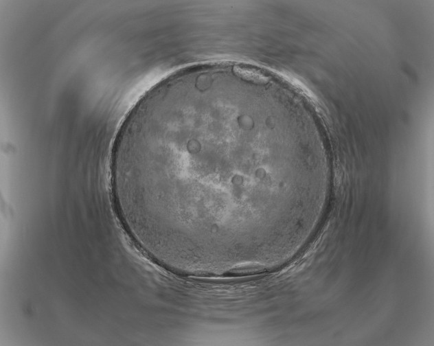 X0000091101279200708061412