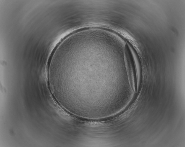 X0000091101280200708061412