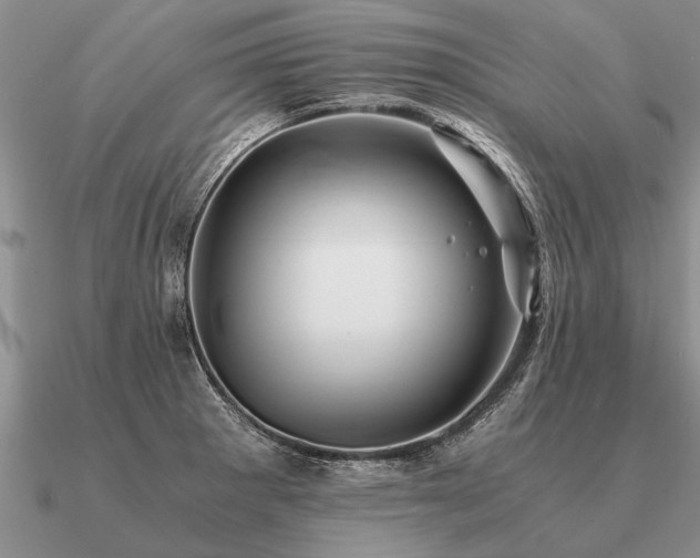 X0000091101281200708061412