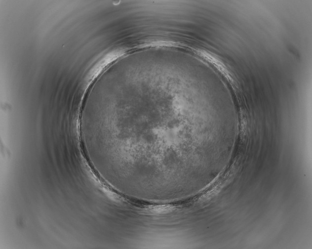 X0000091101282200708061412