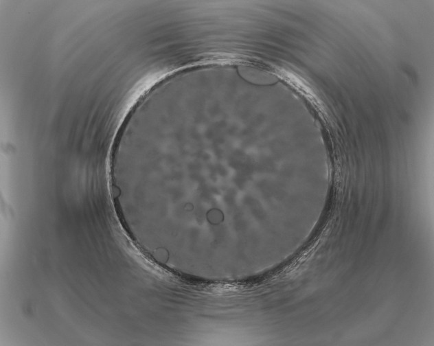 X0000091101283200708061412