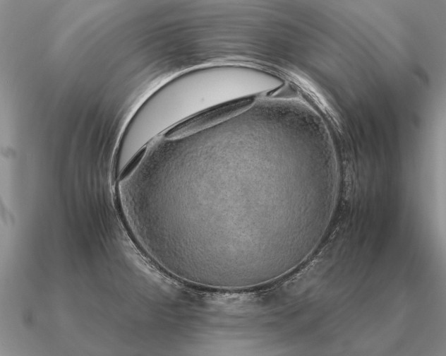 X0000091101284200708061412