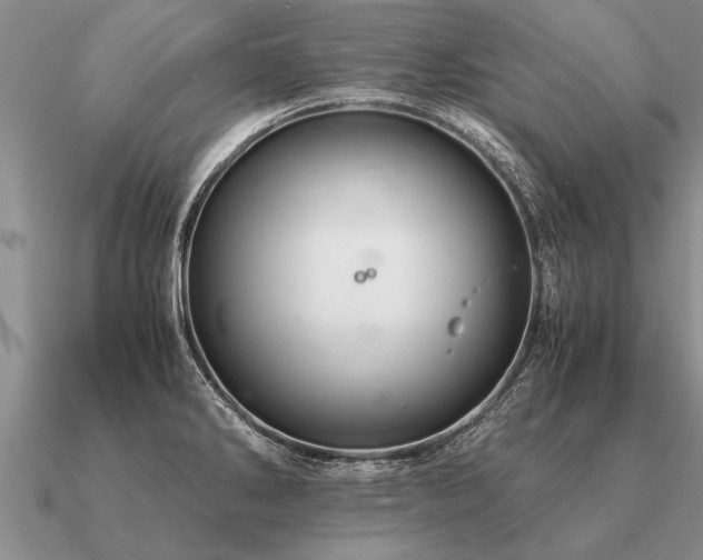 X0000091101286200708061412