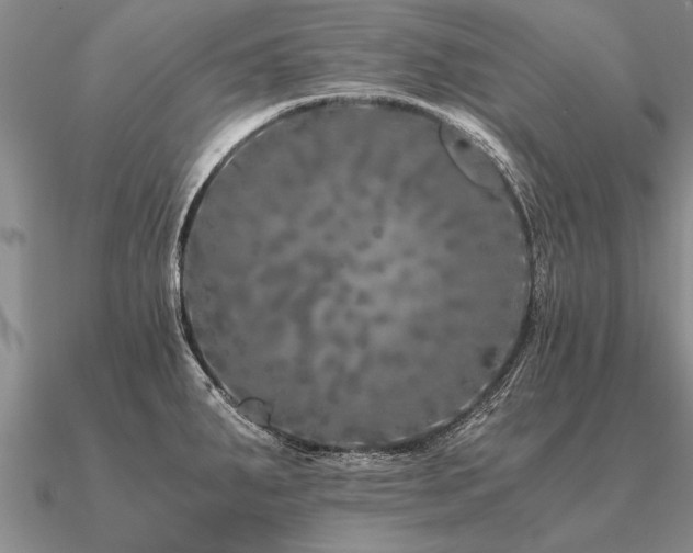 X0000091101287200708061412