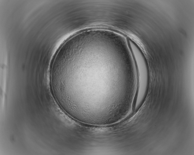 X0000091101288200708061412