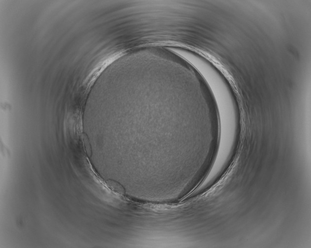 X0000091101289200708061412