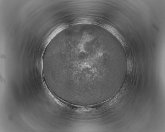 X0000091101290200708061412