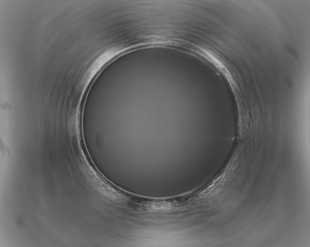 X0000091101291200708061412