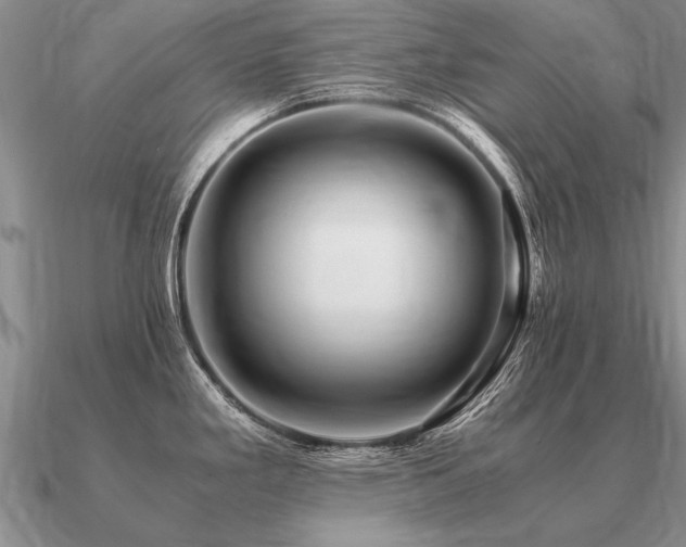 X0000091101293200708061412