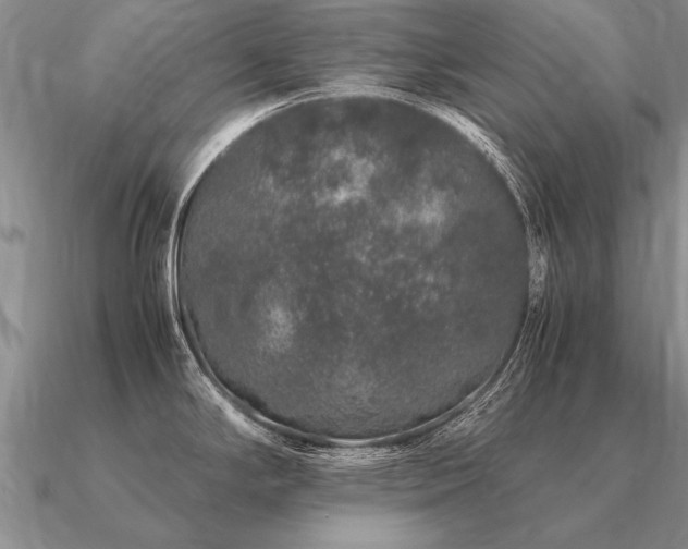 X0000091101294200708061412