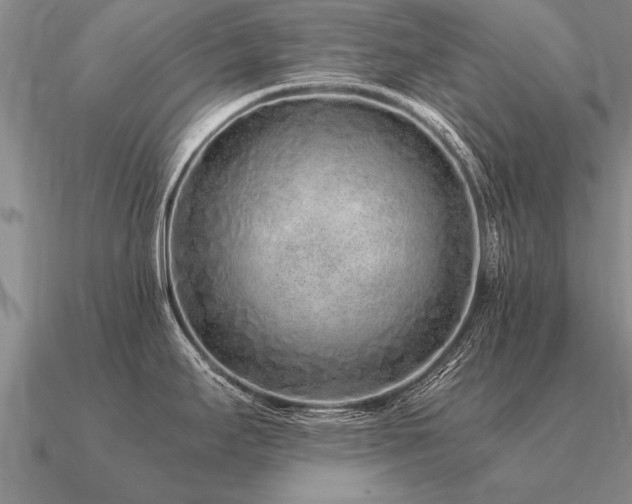 X0000091101295200708061412