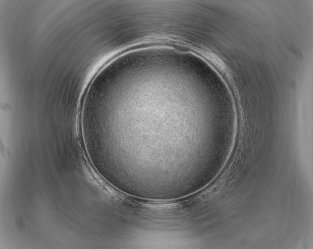 X0000091101296200708061412