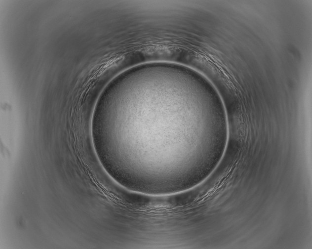 X0000091101297200708061411