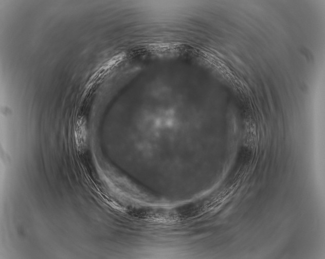 X0000091101298200708061411