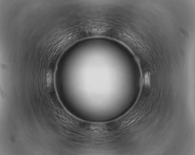 X0000091101299200708061411