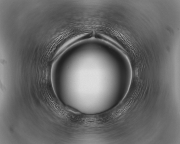 X0000091101300200708061411